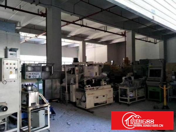 6米高凤岗标准一楼厂房出租850平方带装修适合注塑机械设备