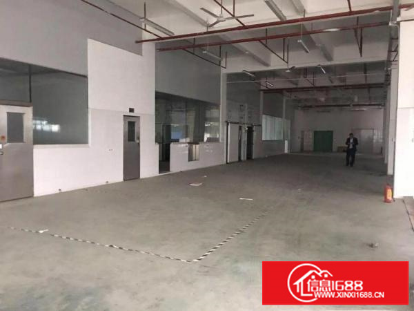 坂田上雪科技园一楼1000平方出租