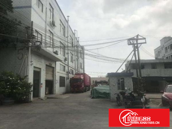 大岭山厚大路边原房东有行车精装修1000平可办环评