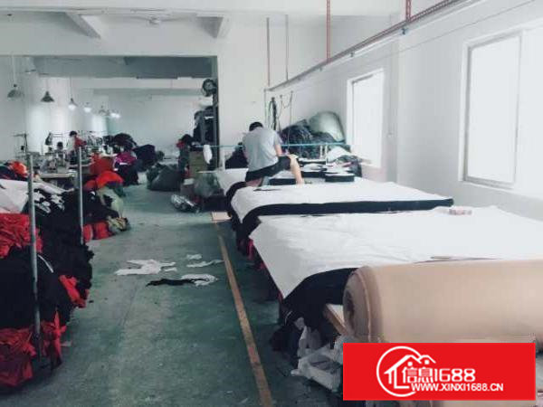 虎门龙眼厂房分租，免中介费