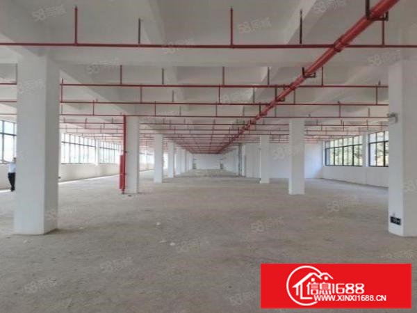 布吉原房东厂房出租,2楼1000平方标准厂房出租