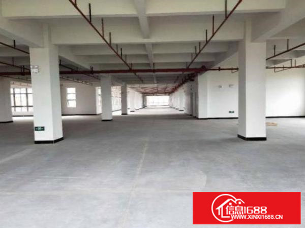 清溪三星村新出1000平独门独院厂房大小可分