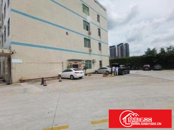 出租观澜新田新出标准厂房1650平带精装修