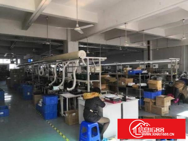 一楼1150平米，高5.5米，适合仓库类