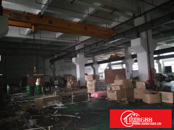 凤岗镇九成新花园式独院厂房10000平米出租