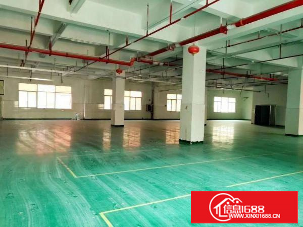 长安锦厦新出原房东楼上850平厂房招租