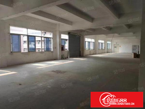 出租龙岗坪地3000平独门独院标准独栋厂房，可以分租