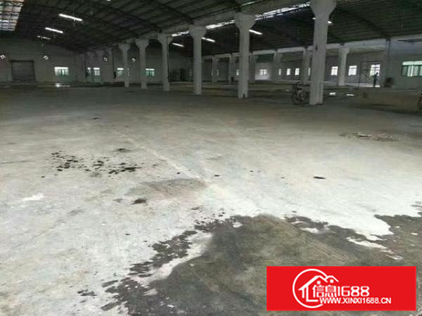 高埗单一层独院3000平米厂房出租现水电、消防等设施齐全，此