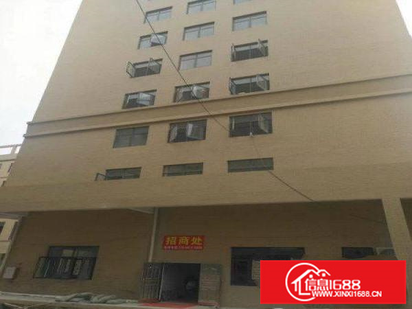 镇隆标准红本工业园50000平米出租（可分租可办环评）