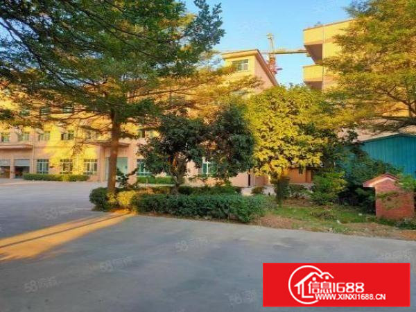 横沥镇山厦工业区原房东独门独院分租一楼6米带牛角和二楼三楼