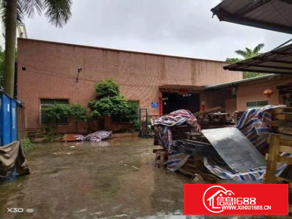 原房东独门独院带办公室单一层出租