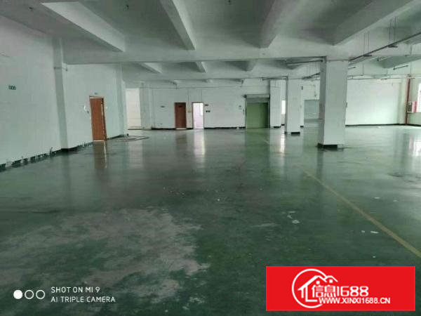 常平大京九塑胶城旁新出原房东3楼带装修2680平标准厂房