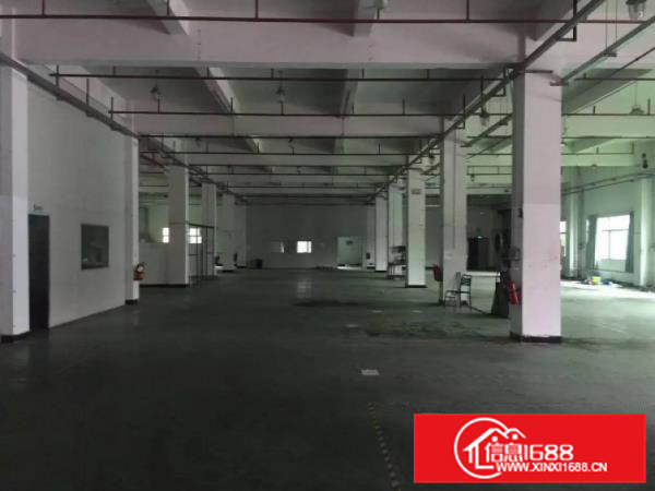 企石镇一楼1500平厂房，价格便宜水电齐全