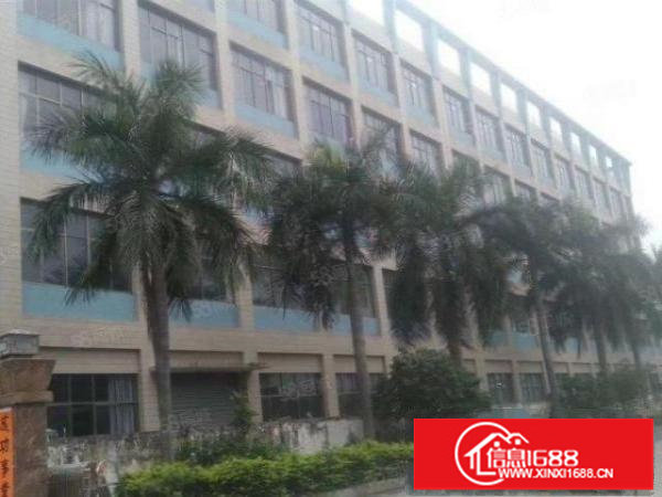 现成装修带办公室免转让费坪山大道主干道红本厂房3楼