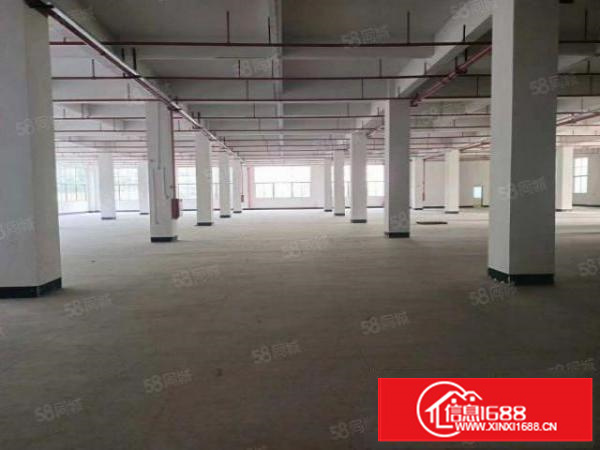 证件齐全,带喷淋消防石排镇独院标准厂房10000平方出租