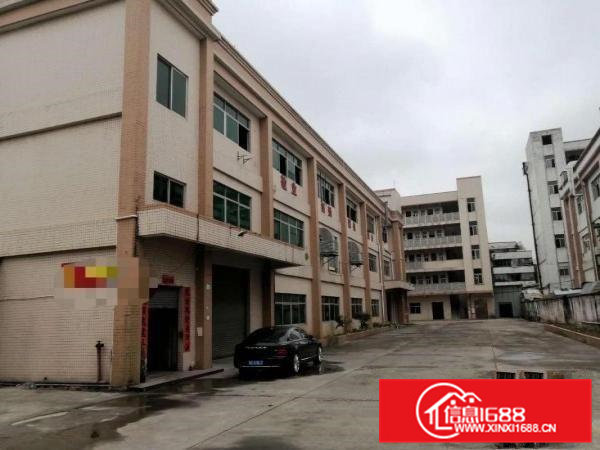 横沥镇原房东独院13层5000平招租，空地大，形象好