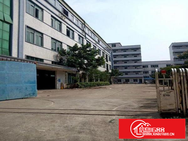 企石镇独门独院厂房大小分租