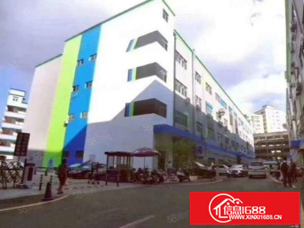 龙胜地铁站旁！一楼层高六米！豪华精装标准厂房600平！