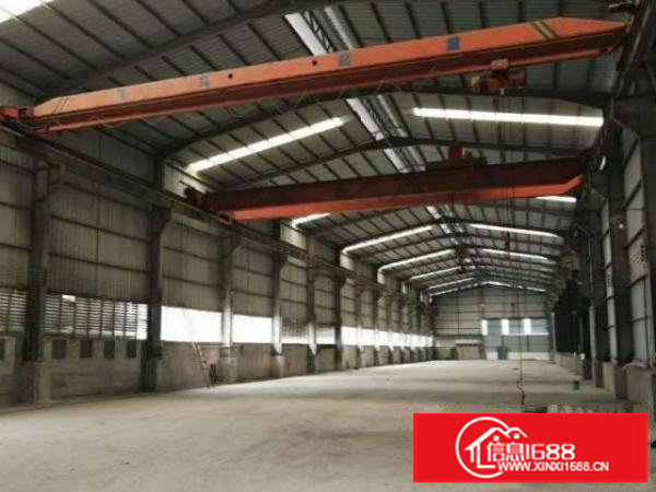 万江官桥滘工业区新出钢钩滴水12米2000平方厂房