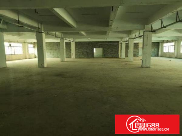 凤岗原房东直租8000平全新独院