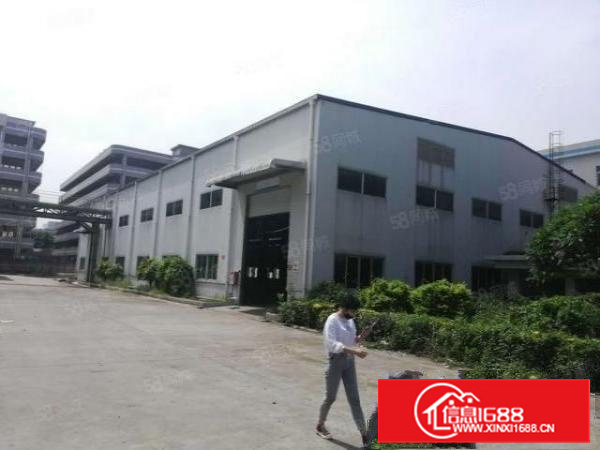 长安镇锦厦新出滴水10高钢构5600平方低价出租可分租