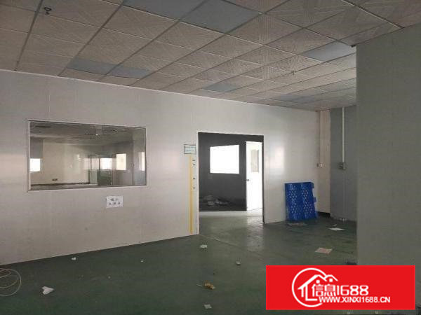 石排塘尾标准厂房分租楼上1050平方，有地坪漆办公室装修