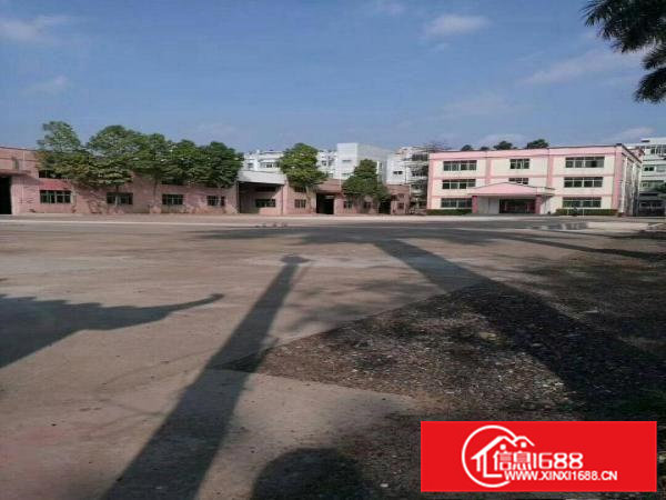 凤岗镇金凤凰新出8米高单一层钢结构厂房出租！！！