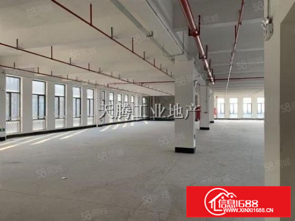 Y光电工业园商品式1225方，适合灯饰电量大客户