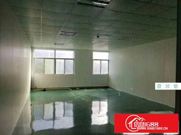 惠阳新墟房东全新产业园招租，有房产证