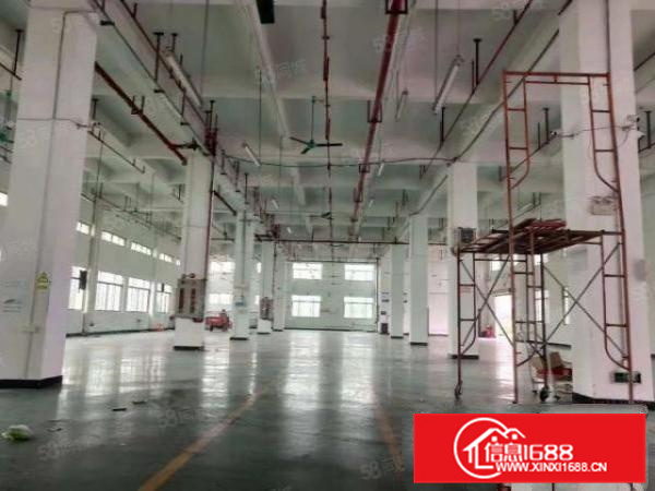 北滘标准一楼招租1450方空地大独门独院能过环评B