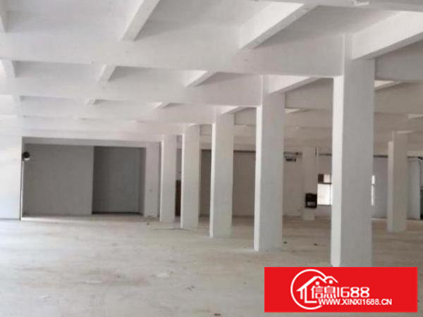 观澜街道库坑原房东厂房出租