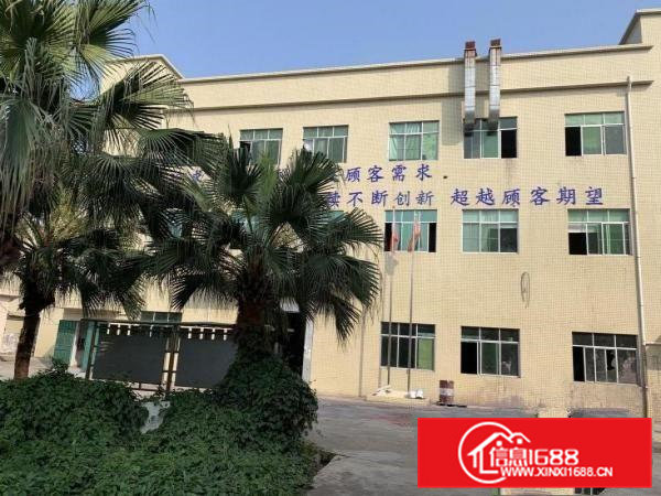 桥头大洲原房东独院价格10块！实际面积出租，合同6年