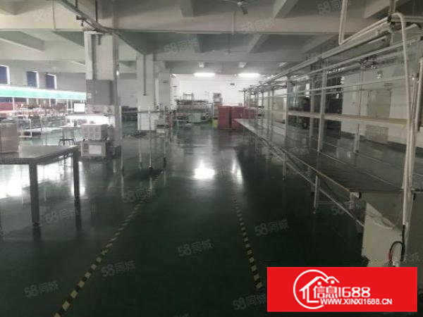 清溪镇三中村新空出豪华装修三楼1500平厂房出租！面积实在！