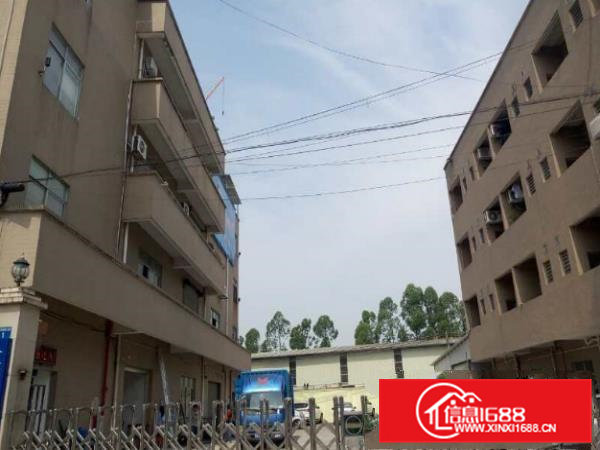 大洲独院厂房2600平，水电齐全招租