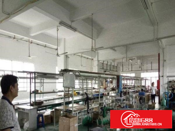 塘厦科苑城独院1850平现成水电装修现房可看