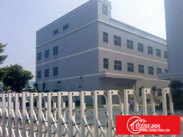 高埗新出独院标准整层3000平方厂房带现成装修出租