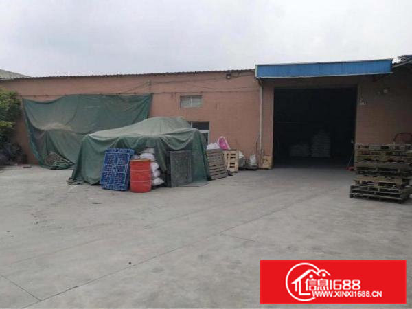 常平镇漱新村新出单一层独院1600平米