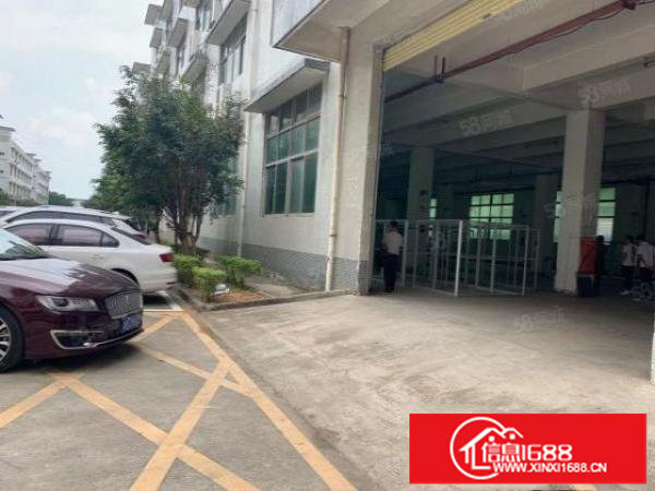 松岗芙蓉路新出1000平厂房出租，格局方正;形象好