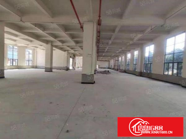虎门新出全新重工厂房20000平