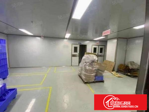 桥头镇刚新出！万级无尘车间厂房！对外出租23F3000