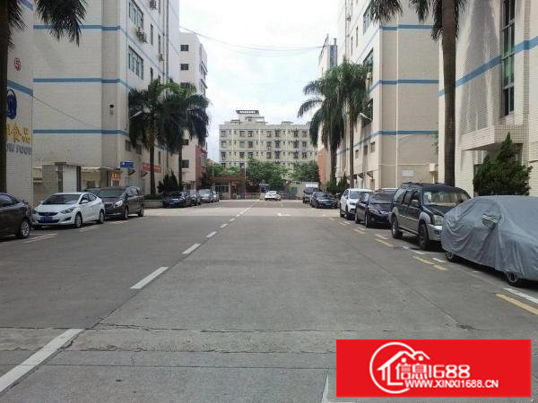 老围工业区350平直租