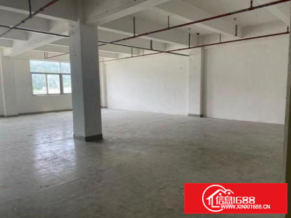 横岗六约新出靓盘，大小可租