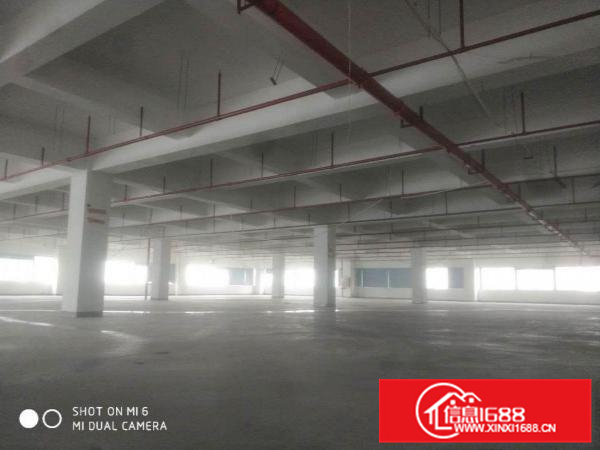 潼侨新出标准花园式独院12000平配独立办公楼