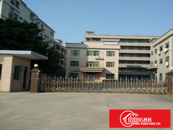 横沥田坑现有独门独院3000平方出租可分租