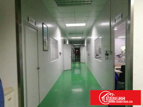 惠阳新墟10元全新1600平方出租（可做污染行业）