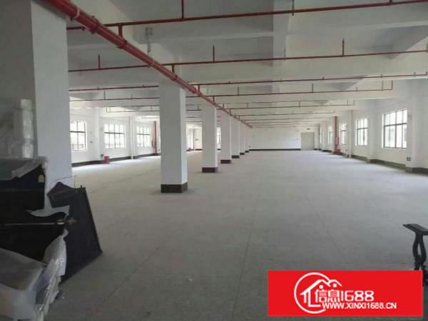 S南联独院厂房2500平方可分租