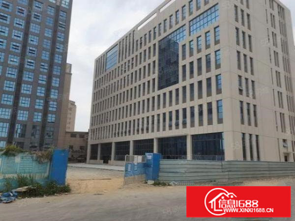 茶山靠主干道原房东新建标准独院厂房招租