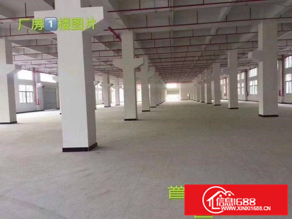 大岭山镇莞长路一楼带二楼带牛角6米高红本厂房出租