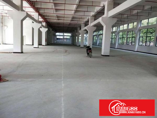 桥头国有证现成豪华装修25000平米