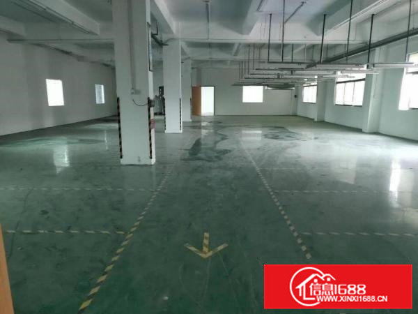 租12块，租12块茶山镇独门独院厂房分租楼上800平方招租